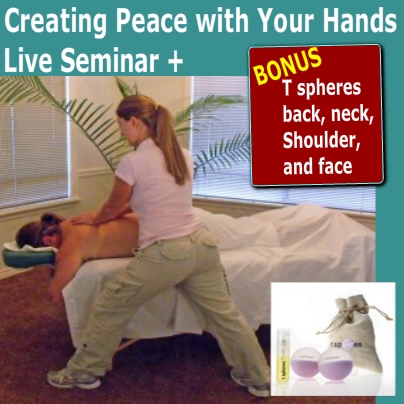 Creating Peace with T Spheres Technique Live Seminar - (6 Live CE Hours)